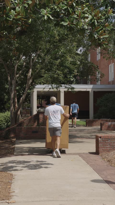A crew member wheeling a tall furniture box down a shaded campus sidewalk toward a residence hall